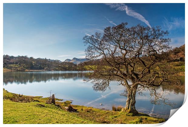 Loughrigg Tarn in the Lake District National Park  Print by Nick Jenkins