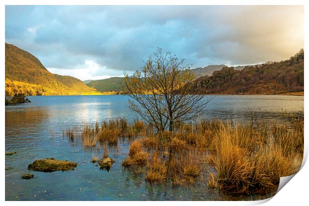 Top end of Llyn Dinas in Snowdonia National Park  Print by Nick Jenkins