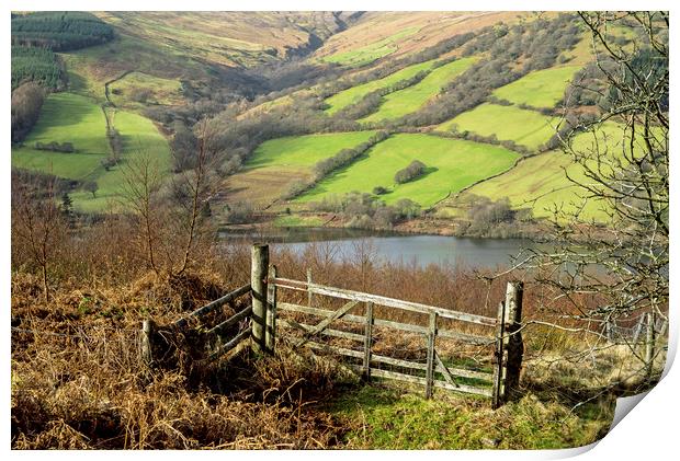 Brecon Beacons Gate in the hills Print by Nick Jenkins