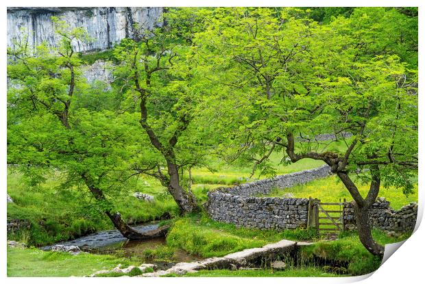 The Base of Malham Cove Yorkshire Dales in summer Print by Nick Jenkins