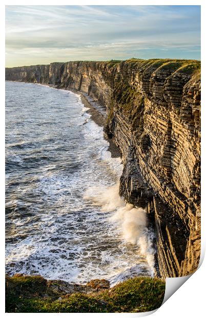 Limestone Cliffs at Nash Point Glamorgan Coast Print by Nick Jenkins