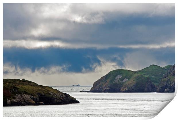 Ramsey Sound north Pembrokeshire Coast Wales Print by Nick Jenkins