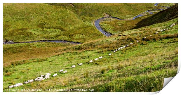 A straight line of Sheep and the River below Wales Print by Nick Jenkins