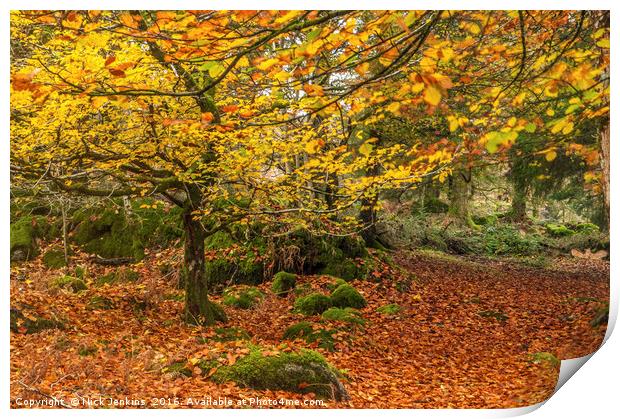 Autumn Woodland Burrator Reservoir Dartmoor Print by Nick Jenkins