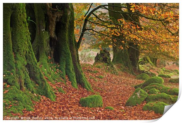 Beech Trees at Burrator Reservoir Dartmoor Print by Nick Jenkins