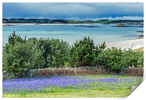 Tresco from St Martins in the Isles of Scilly Print by Nick Jenkins
