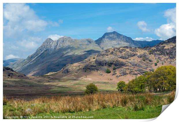 The Langdale Pikes from Blea Tarn Lake District Print by Nick Jenkins