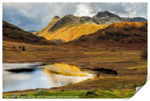 Langdale Pikes from Blea Tarn Lake District  Print by Nick Jenkins