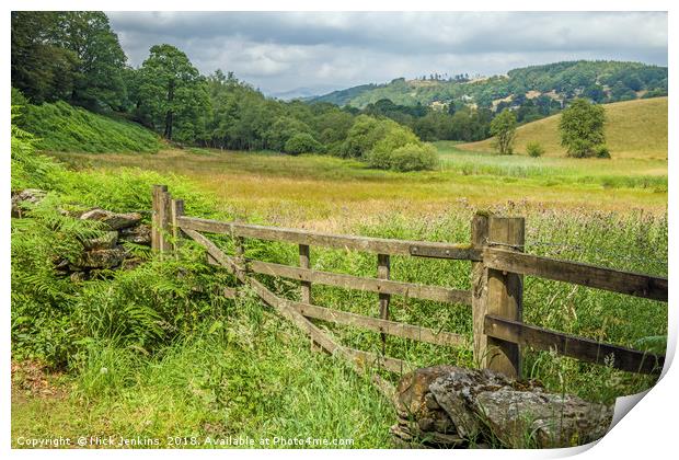 Wooden Gate and Farmland in the Lake District  Print by Nick Jenkins