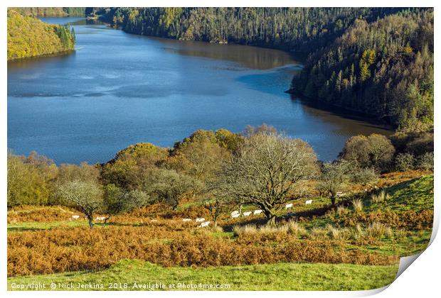 Part of Llyn Brianne Reservoir in Mid Wales Print by Nick Jenkins