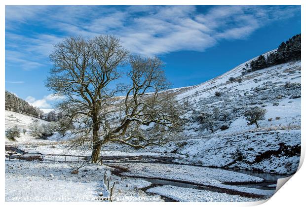 The Oak Tree at Cwm Crew Brecon Beacons Print by Nick Jenkins