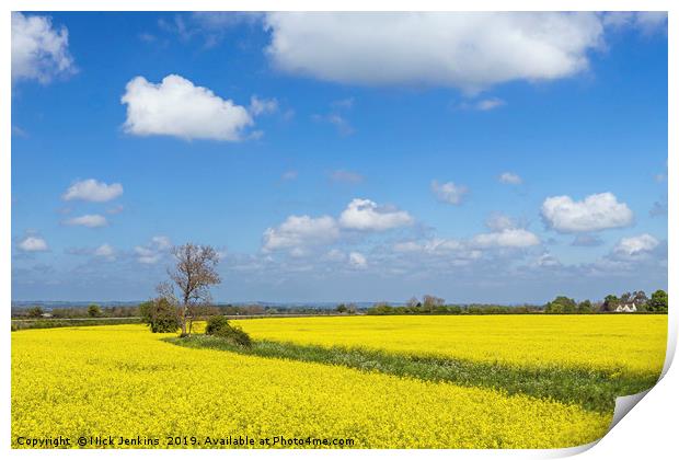 Rapeseed Field in the Cotswolds in Spring Print by Nick Jenkins