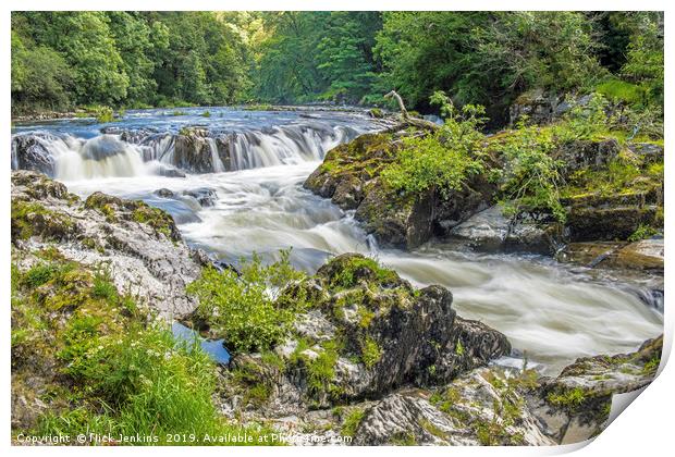 Cenarth Falls on the River Teifi in Carmarthenshir Print by Nick Jenkins