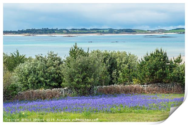 Tresco from St Martin The Scillies  Print by Nick Jenkins