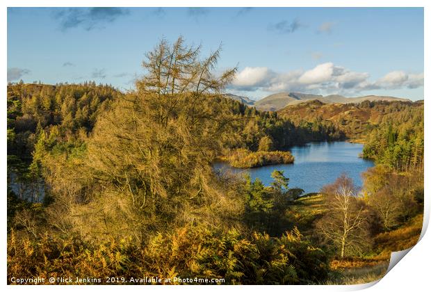 Tarn Hows in the Lake District Cumbria Autumn Print by Nick Jenkins