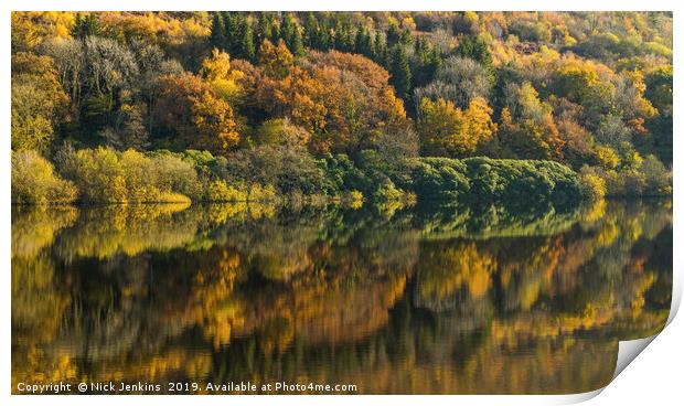 Trees reflected in Talybont Reservoir Brecon Beaco Print by Nick Jenkins