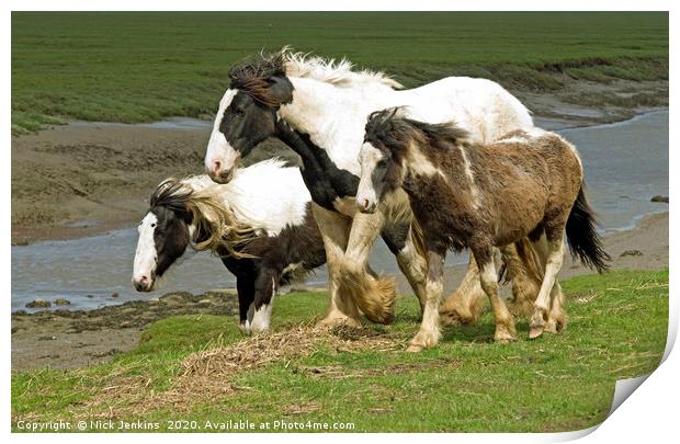 Heavy Horses at Penclawdd on Gower  Print by Nick Jenkins