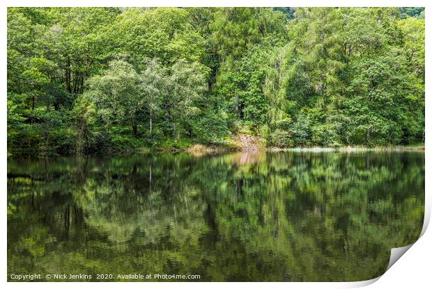 Reflections in Yew Tree Tarn Lake District Print by Nick Jenkins