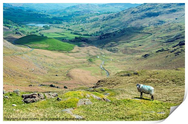 Little Langdale Tarn from Wrynose Pass Lakeland   Print by Nick Jenkins