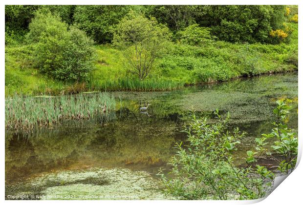 Clydach Upper Pond with a Heron Rhondda Fawr Print by Nick Jenkins
