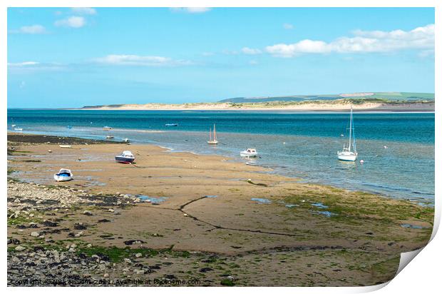 Torridge Estuary and boats Appledore North Devon Print by Nick Jenkins