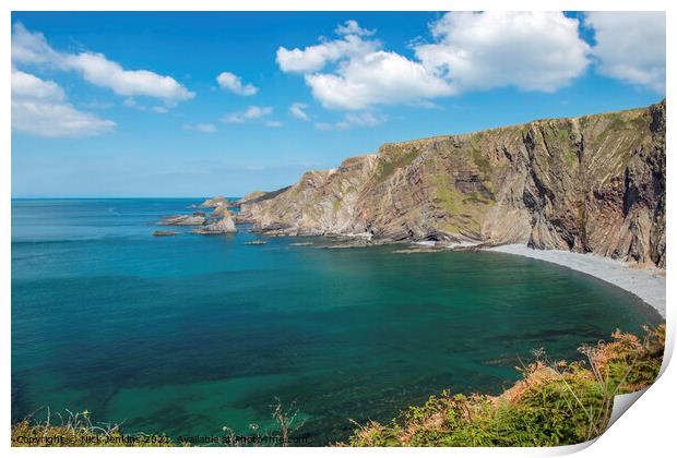 Hartland Quay Coast North Devon Coast Print by Nick Jenkins