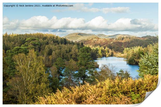Tarn Hows Lake District National Park Cumbria Print by Nick Jenkins