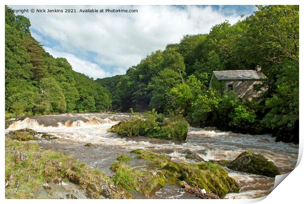 Cenarth Waterfall Ceredigion Carmarthenshire Print by Nick Jenkins