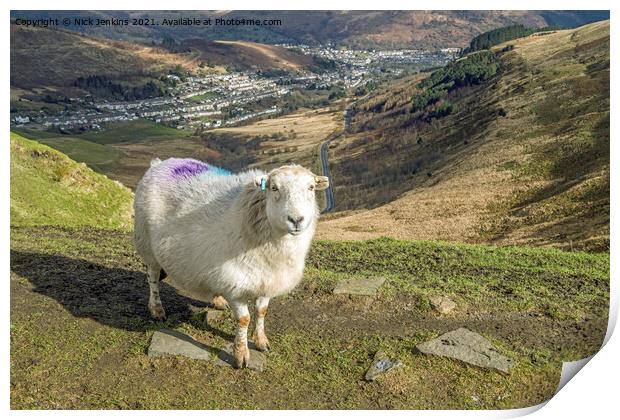 Rhondda would not be Rhondda without sheep Print by Nick Jenkins