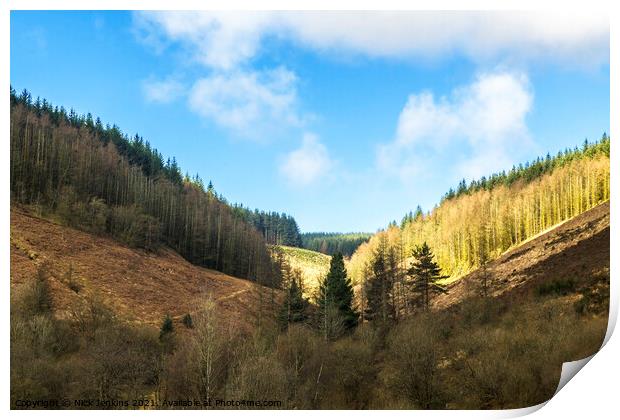Forested Valley above Clydach Vale Rhondda South W Print by Nick Jenkins