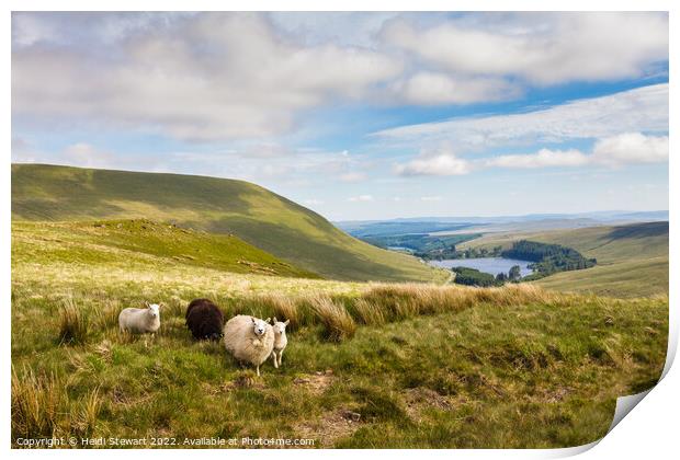 Brecon Beacons National Park Print by Heidi Stewart