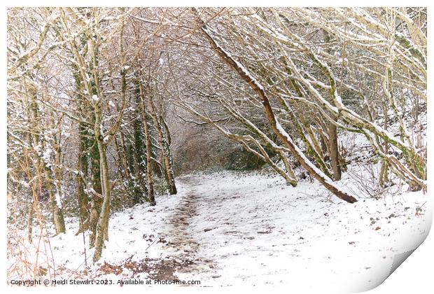 Snowy Woodland Path Print by Heidi Stewart