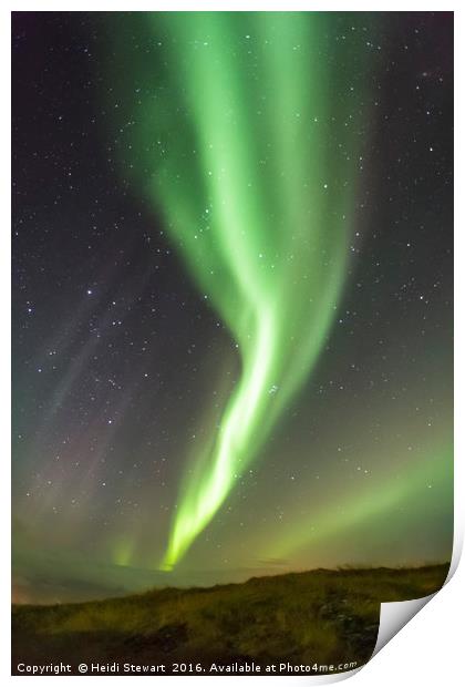 Aurora over Hofn, Iceland Print by Heidi Stewart