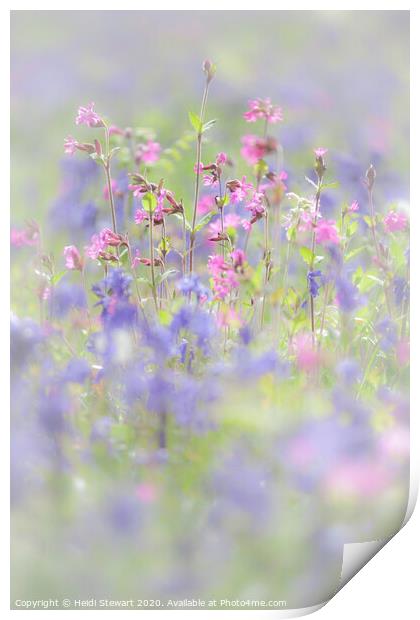 Bluebells and Red Campion in Portrait Print by Heidi Stewart