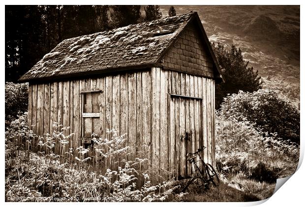 Old Shed and Bicycle, Scotland Print by Heidi Stewart