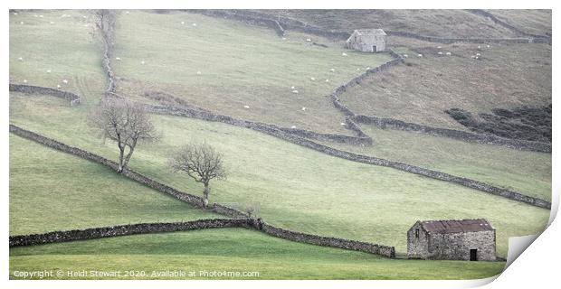 Barns at Keld in the Yorkshire Dales Print by Heidi Stewart