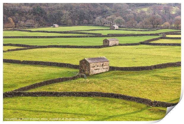 Gunnerside Barns, Yorkshire Dales Print by Heidi Stewart