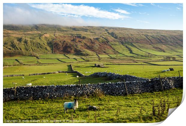 Littondale, Yorkshire Dales Print by Heidi Stewart