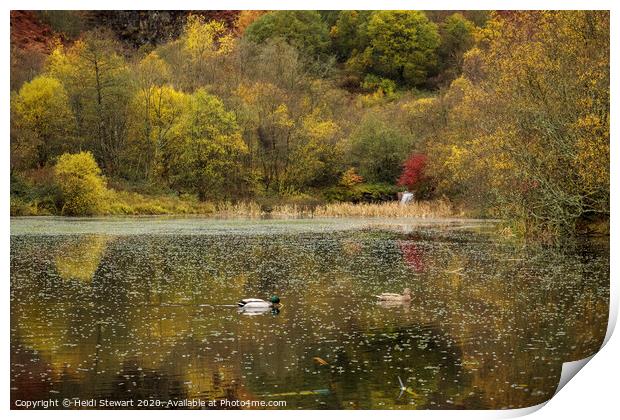 Clydach Vale Country Park, Rhondda Valley Print by Heidi Stewart