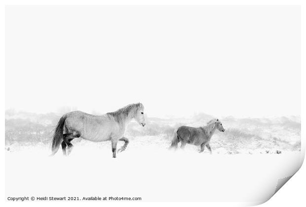 Horses in the Snow Print by Heidi Stewart