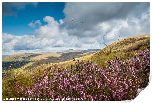 Heather in the Brecon Beacons National Park Print by Richard Morgan