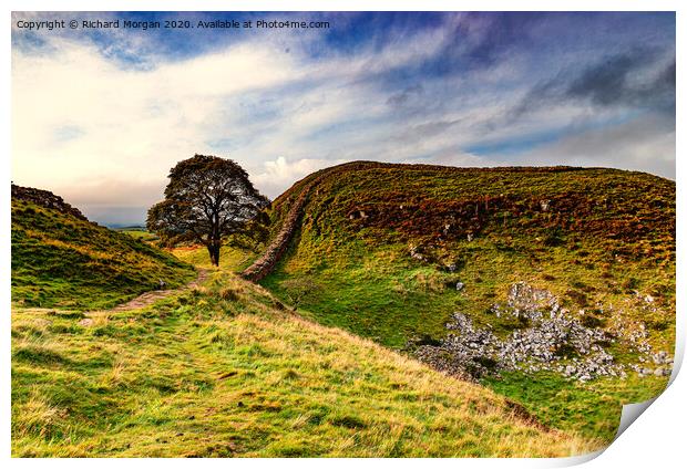 Sycamore Gap And Hadrian's Wall  Print by Richard Morgan