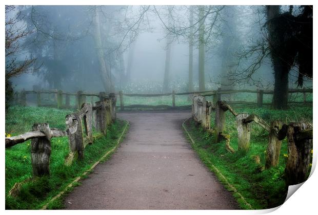 Apley Woods Print by simon alun hark