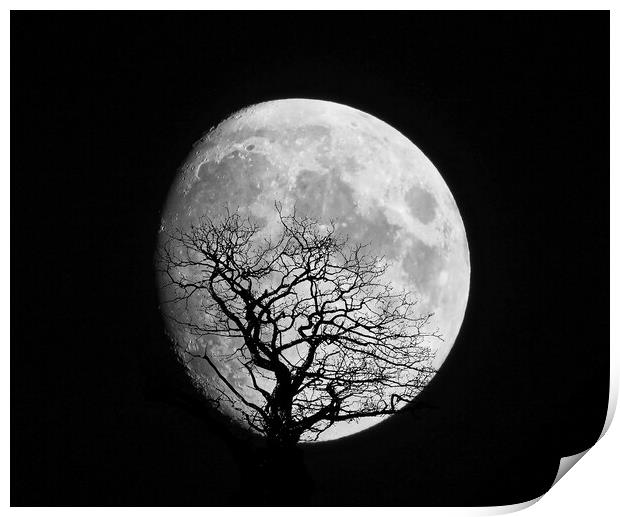 Moon Shot Silhouette Print by simon alun hark