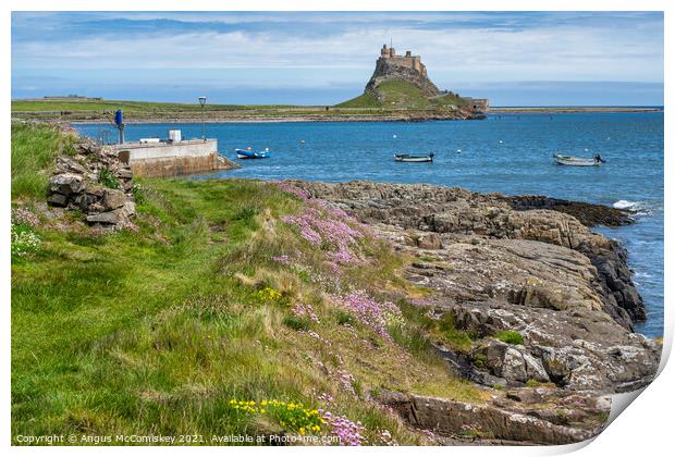 Wildflowers and sea cliffs, Holy Island Print by Angus McComiskey