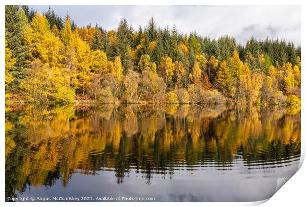 Lochan Spling autumn colours Print by Angus McComiskey