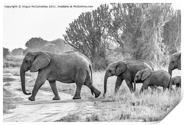 Family of elephants on the move, Uganda mono Print by Angus McComiskey