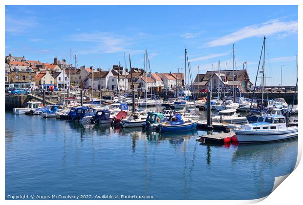 Yachts moored in Anstruther marina in Fife Print by Angus McComiskey
