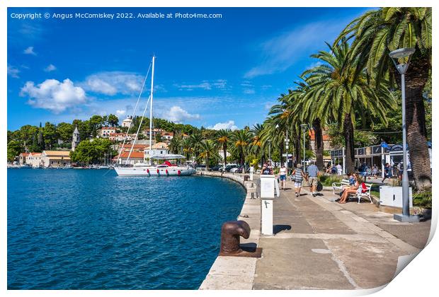 Palm-lined promenade at Cavtat in Croatia Print by Angus McComiskey