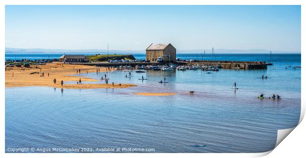 Panoramic view of Elie harbour and marina Print by Angus McComiskey